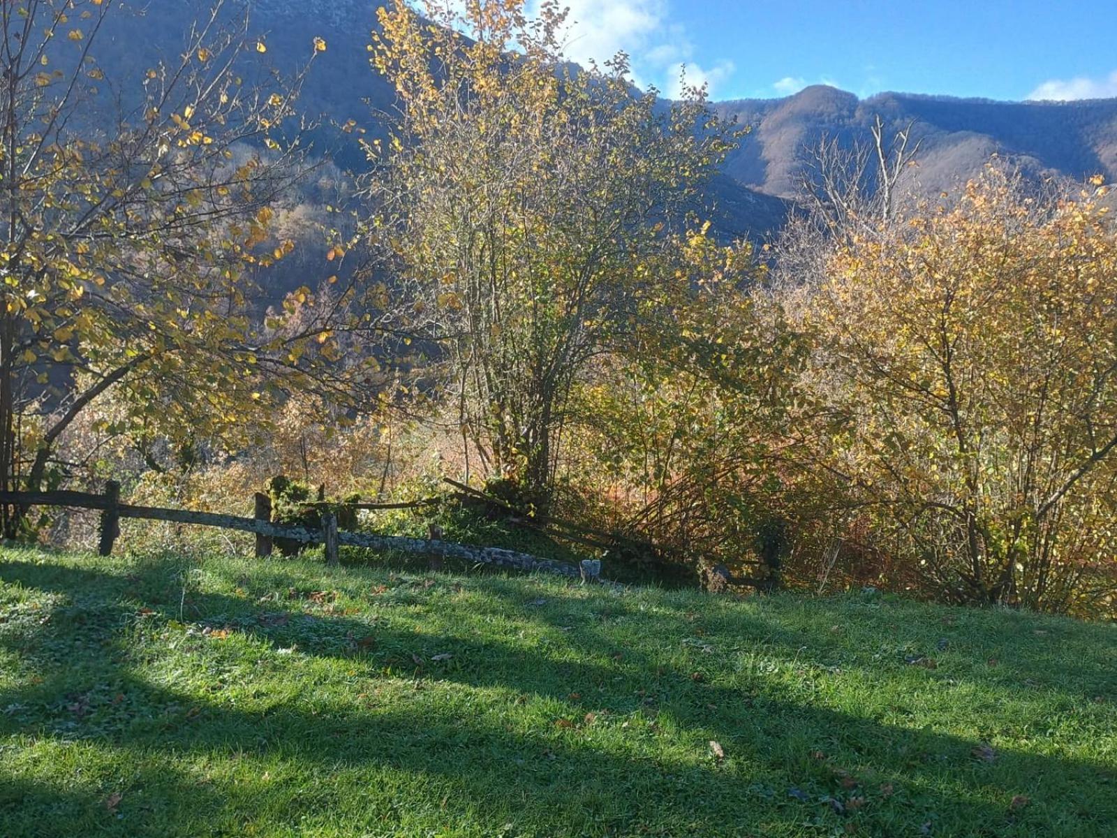 Hotel Rural Reciegos Complejo Agroturistico Caso Εξωτερικό φωτογραφία